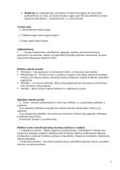 Politikos mokslas 3 puslapis