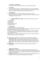 Politikos mokslas 9 puslapis