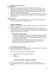 Politikos mokslas 10 puslapis