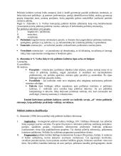 Politinė kultūra ir politinė socializacija 2 puslapis