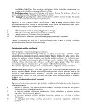 Politinė kultūra ir politinė socializacija 3 puslapis