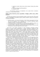 Politika ir politinės teorijos 2 puslapis