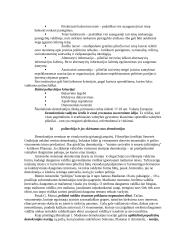 Politinis režimas. Totalitarizmas ir autoritarizmas – samprata, pagrindiniai bruožai ir tipai 4 puslapis