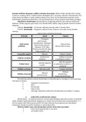 Politinis režimas. Totalitarizmas ir autoritarizmas – samprata, pagrindiniai bruožai ir tipai 5 puslapis