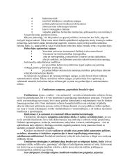 Politinis režimas. Totalitarizmas ir autoritarizmas – samprata, pagrindiniai bruožai ir tipai 6 puslapis