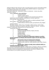 Politinis režimas. Totalitarizmas ir autoritarizmas – samprata, pagrindiniai bruožai ir tipai 8 puslapis