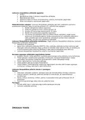 Politika ir valdžia - politologija 4 puslapis