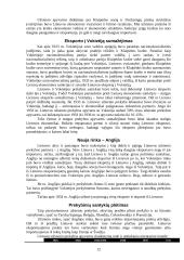 Prekyba tarpukario Lietuvoje (1918–1939 metais) 12 puslapis