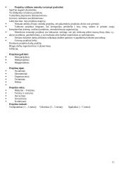 Projekto vadybos teorija 11 puslapis