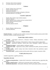 Projekto vadybos teorija 3 puslapis