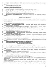 Projekto vadybos teorija 4 puslapis