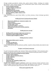 Projekto vadybos teorija 7 puslapis