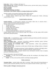 Projekto vadybos teorija 8 puslapis