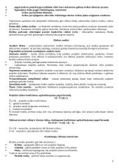 Projekto vadybos teorija 9 puslapis