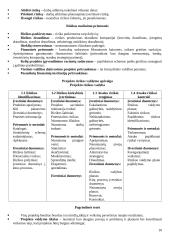 Projekto vadybos teorija 10 puslapis