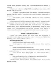 Projektų vadyba 2 puslapis