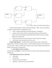 Projektų vadyba 11 puslapis