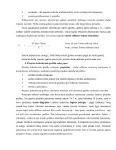 Projektų vadyba 12 puslapis