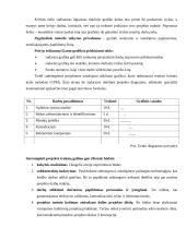Projektų vadyba 13 puslapis