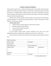 Projektų vadyba 14 puslapis