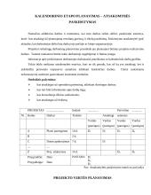 Projektų vadyba 15 puslapis