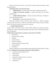 Projektų vadyba 16 puslapis