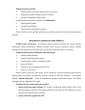 Projektų vadyba 17 puslapis