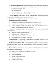 Projektų vadyba 18 puslapis