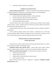 Projektų vadyba 19 puslapis
