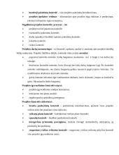 Projektų vadyba 20 puslapis