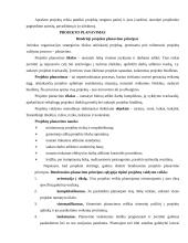 Projektų vadyba 3 puslapis