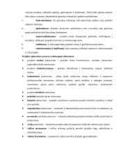 Projektų vadyba 4 puslapis