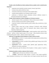 Projektų vadyba 7 puslapis