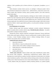 Projektų vadyba 8 puslapis