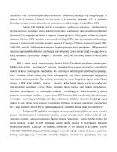 Racionalaus pasirinkimo prieiga 2 puslapis