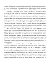 Racionalaus pasirinkimo prieiga 13 puslapis