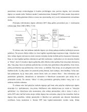 Racionalaus pasirinkimo prieiga 4 puslapis