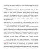 Racionalaus pasirinkimo prieiga 5 puslapis