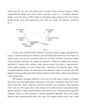 Racionalaus pasirinkimo prieiga 8 puslapis