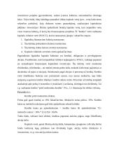 Reikalaujamos pelno normos nustatymas ir rizikos įvertinimas 2 puslapis