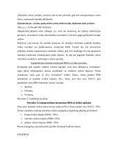 Reikalaujamos pelno normos nustatymas ir rizikos įvertinimas 12 puslapis