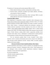 Reikalaujamos pelno normos nustatymas ir rizikos įvertinimas 13 puslapis