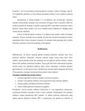 Reikalaujamos pelno normos nustatymas ir rizikos įvertinimas 15 puslapis