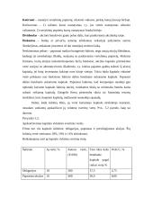 Reikalaujamos pelno normos nustatymas ir rizikos įvertinimas 3 puslapis