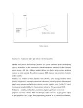 Reikalaujamos pelno normos nustatymas ir rizikos įvertinimas 5 puslapis