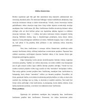 Reikalaujamos pelno normos nustatymas ir rizikos įvertinimas 7 puslapis