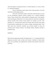 Reikalaujamos pelno normos nustatymas ir rizikos įvertinimas 8 puslapis