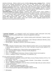 Renesanso pedagogikos istorija 3 puslapis