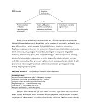 Renginio užbaigimas, įvertinimas ir rezultatai 3 puslapis