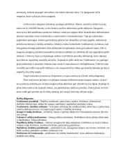 Renginio užbaigimas, įvertinimas ir rezultatai 4 puslapis